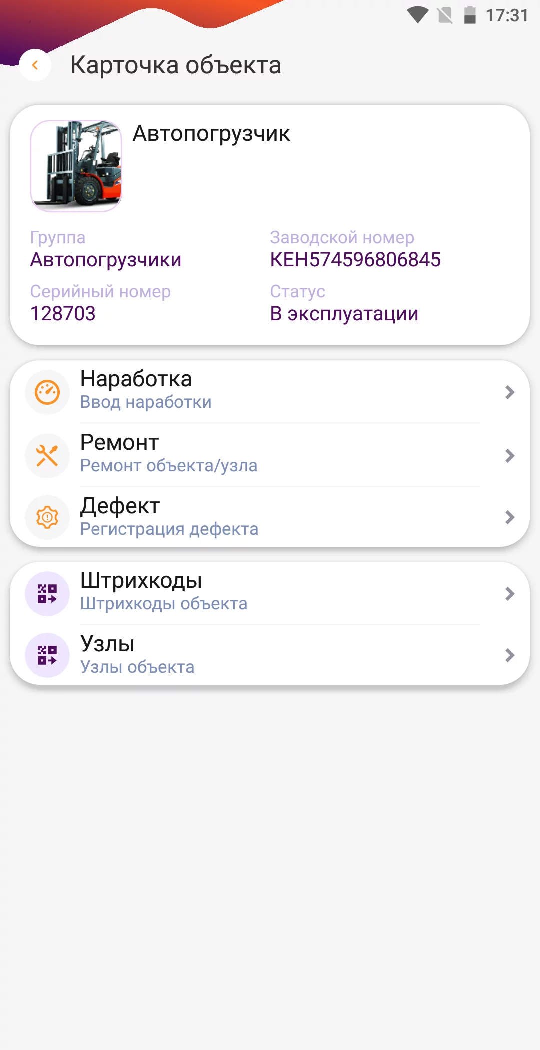 DataMobile ТОИР детальное фото