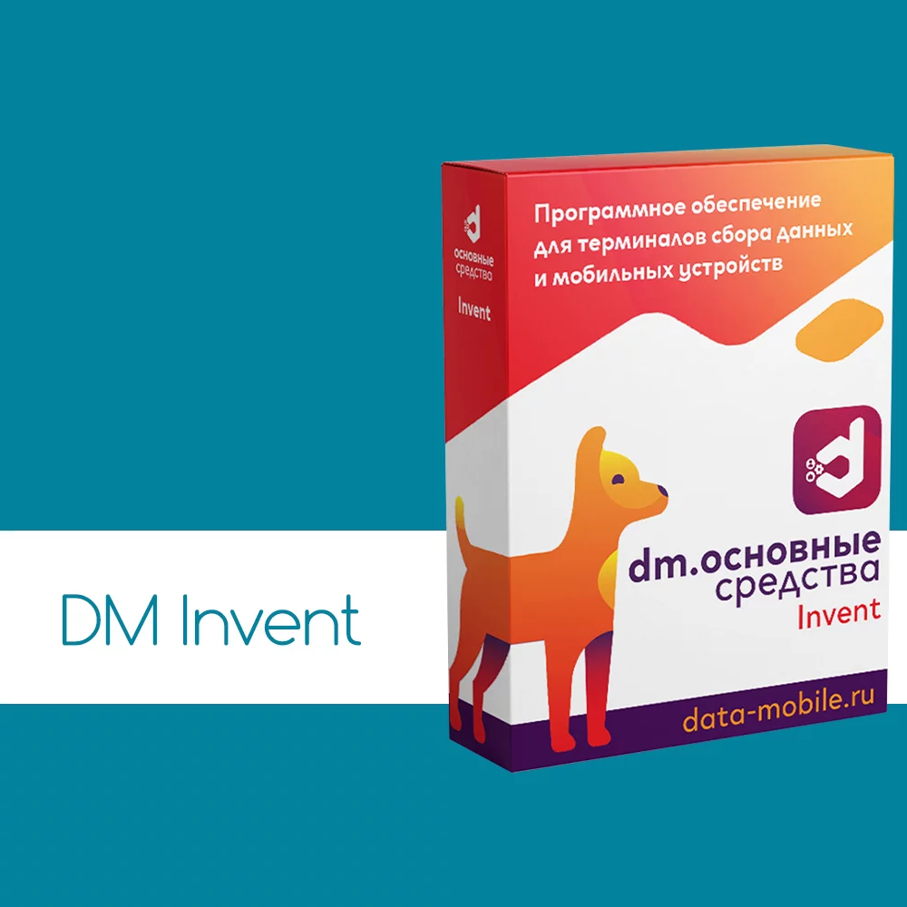 DataMobile Invent детальное фото