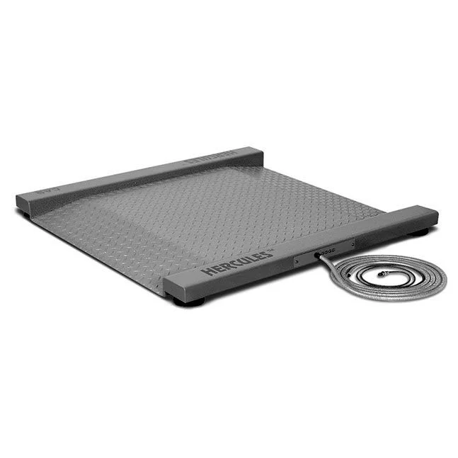 Весы R 600 CAS, 1000х1000х90